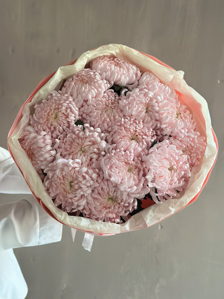 15 хризантем Рибонет