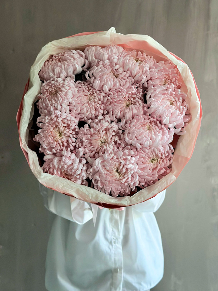 15 хризантем Рибонет