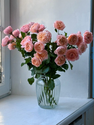 Кустовые розы Джульетта в вазе