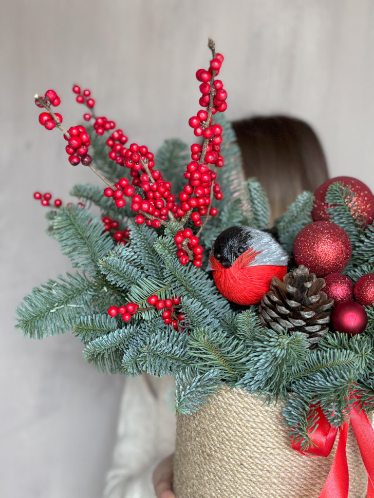 Композиция в кашпо «Снежная королева»