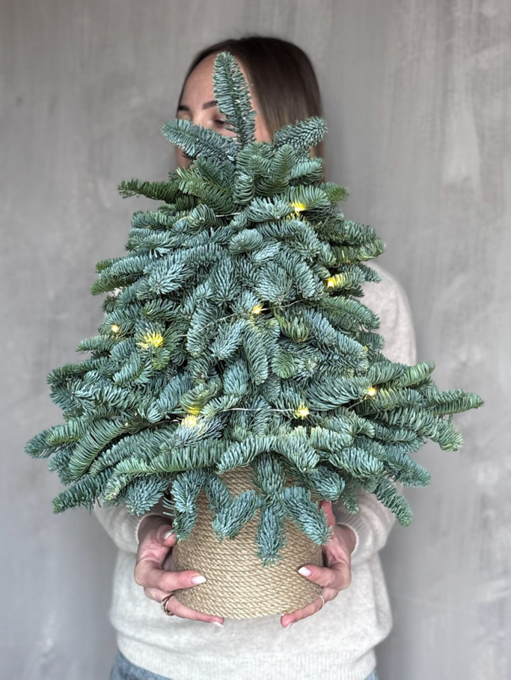 Елка на оазисе