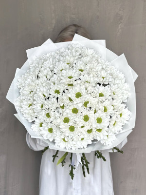 15 хризантем 