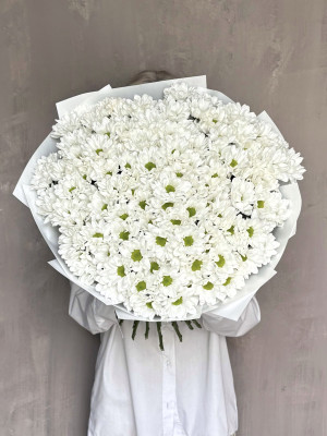 25 хризантем