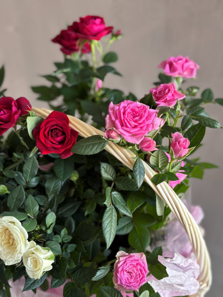 Композиция из роз, высаженных в грунт