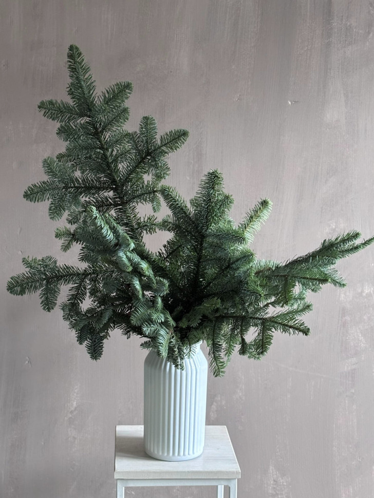 Свежий ароматный Нобилис в вазе