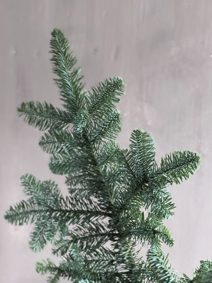 Свежий ароматный Нобилис в вазе