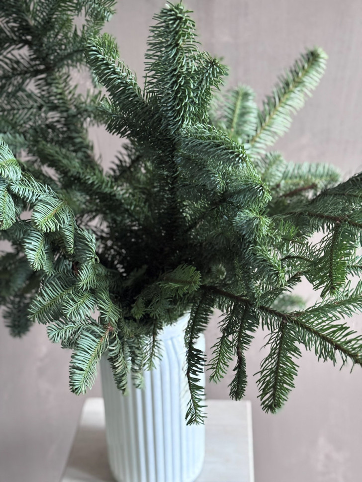 Свежий ароматный Нобилис в вазе