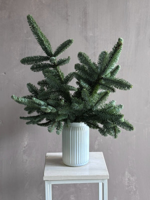 Ароматный Нобилис «Хвойная нежность»