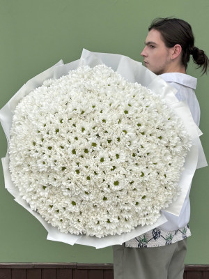 101 хризантема