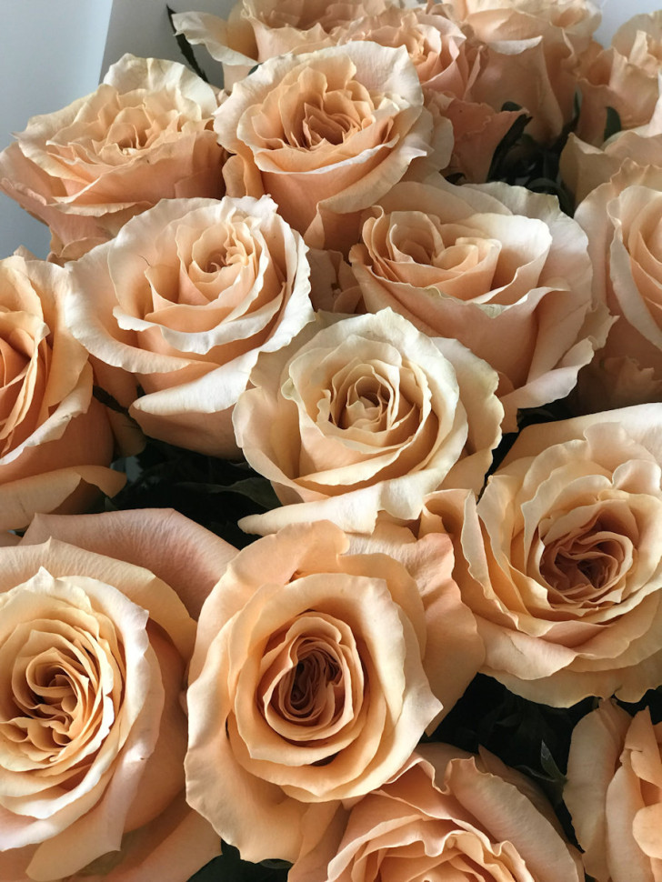 Букет из 21 розы Эквадор Шиммер