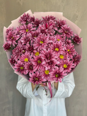 7 кустовых хризантем