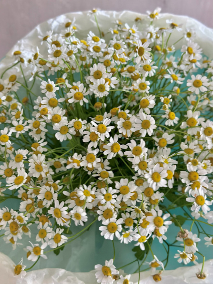 Букет «Летний ветерок»