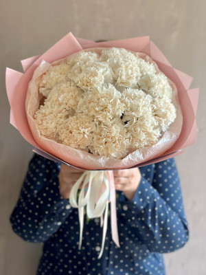 Букет из 15 диантусов Брют