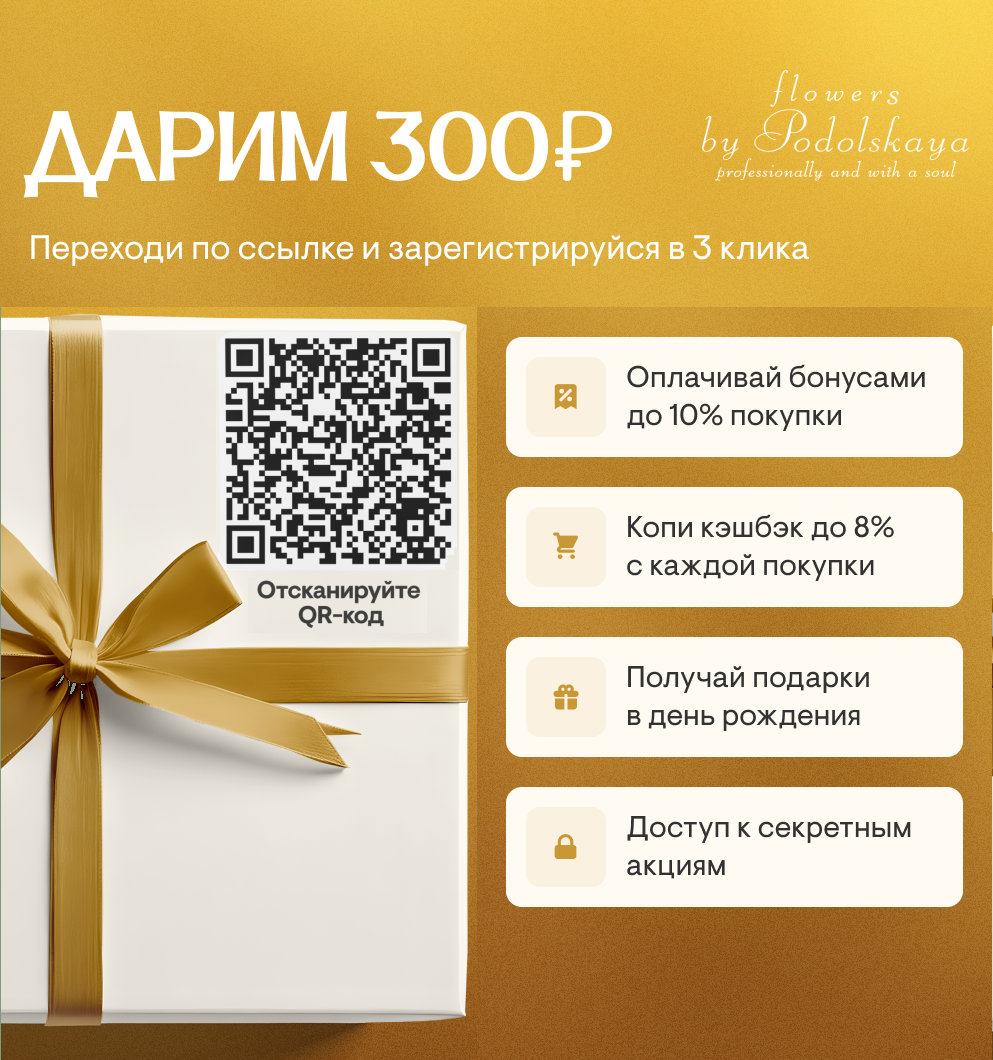 Бонусная программа, дарим 300 рублей